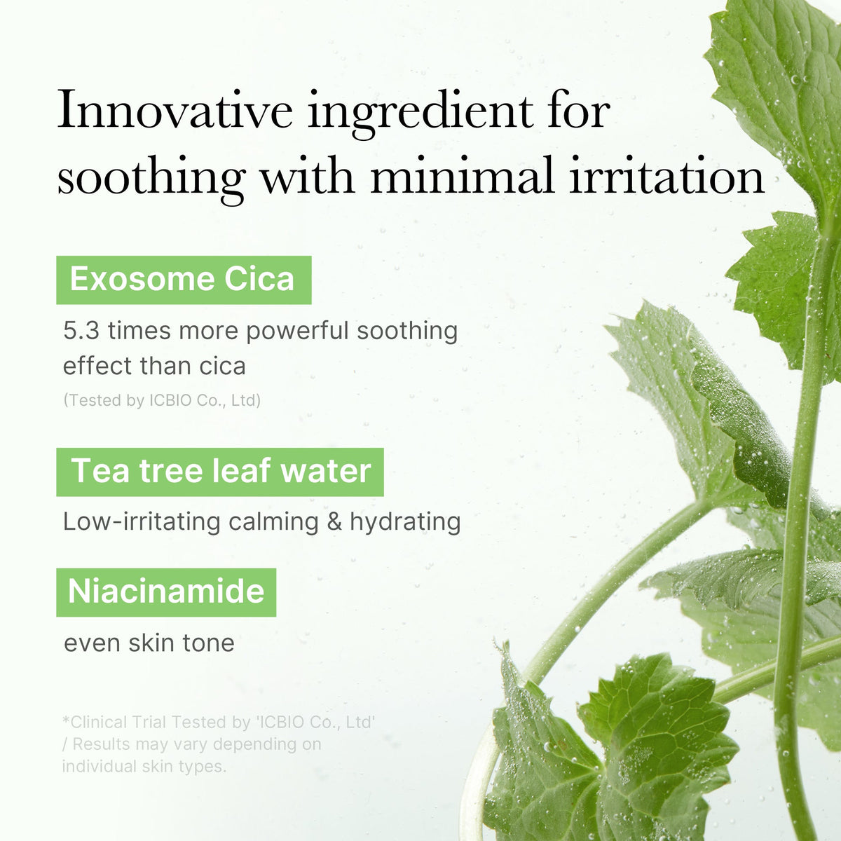 exosome-cica-calming-toner-pads-j9 03_d73c7e58-fe02-42b9-8dfe-6db8bcfc4a9d.jpg