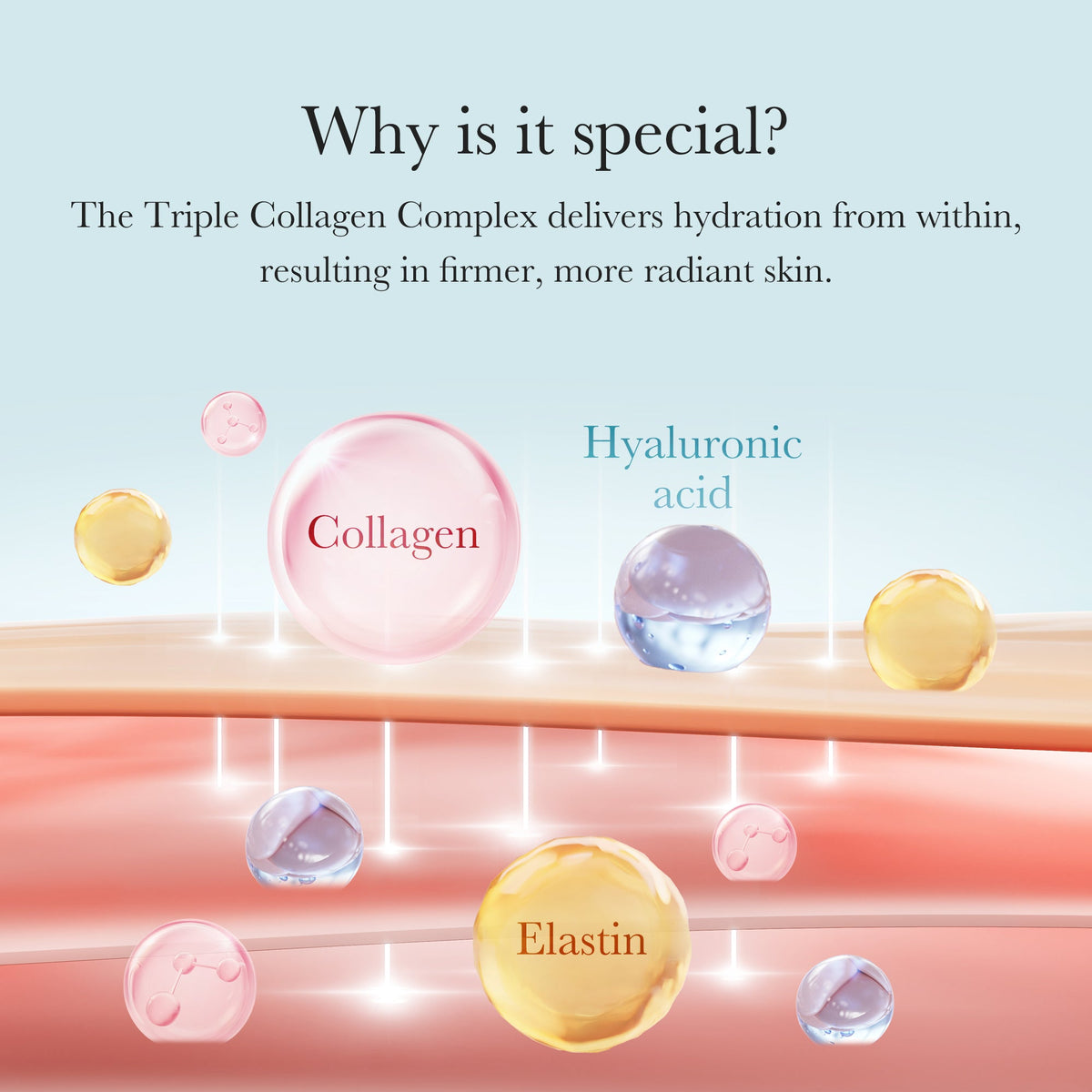 triple-collagen-cream-l6 04_8e4e330d-7d9c-4ff0-93ec-ea541093220c.jpg